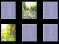 Game Nature Memory