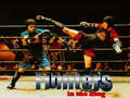 Game Fighters in the Ring