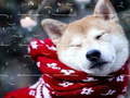 Game Winter Pets Puzzle