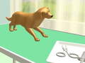Game Paw Care