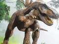 Game Tyrannosaurus Rex Carnivore Jigsaw