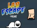 Game Lab Escape Online