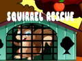 Game Squirrel Rescue