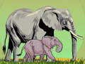 Game Wild Animals and Their Babies