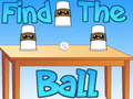 Game Find The Ball