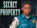 Game Secret property