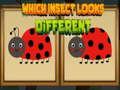 Game Which Insect Looks Different