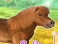 Game My Dear Pony