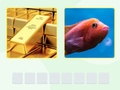 Game Picword