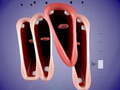 Game Funny Chorus