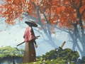 Game Samurai Reflexion