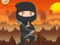Game Trained Ninja Puzzle