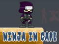 Game Ninja in Cape