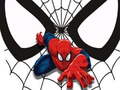 Game Spiderman Match Cards