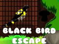 Game Black Bird Escape