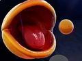Game Pac-Man 3d