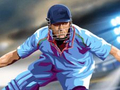 Game Cricket 2022