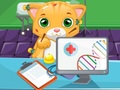 Game Cat Doctor