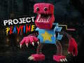 Game Project Play Time