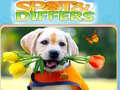 Game Spot&Differs