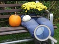 Game Autumn Garden Find 100 butterflies