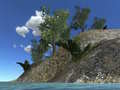 Game Raft Evolution