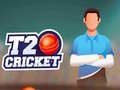Game T20 Cricket