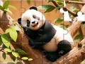Game Jigsaw Puzzle: Panda On Tree
