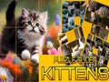Game Puzzle Sliding Kittens
