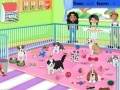 Game Puppy Pet Care