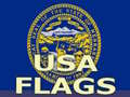 Game Usa Flags 
