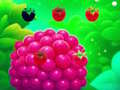Game Sweet Raspberry