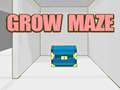 Game Grow Maze