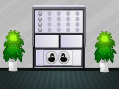 Game White House Escape
