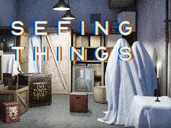 Game Seeing Things