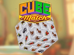 Game Cube Match