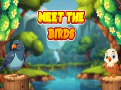Game Meet The Birds 