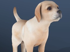 Game IDLE Pet
