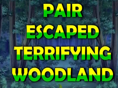 Game Pair Escaped Terrifying Woodland