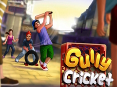 Game Gully Cricket