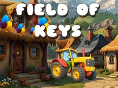 Game Field of Keys