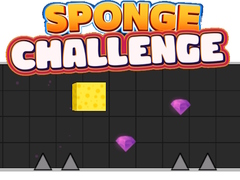 Game Sponge Challenge