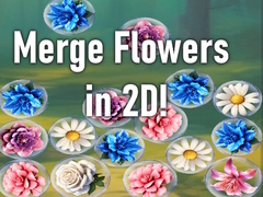 Game Merge Flowers in 2D!