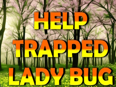 Game Help Trapped Lady Bug