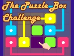 Game The Puzzle Box Challenge