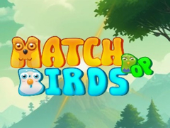 Game Match Pop Birds