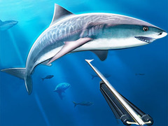 Game Hunting Underwater Spearfishing