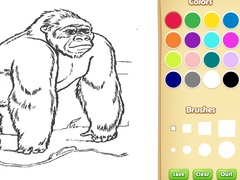 Game Zoo Animals Coloring Book for Kids