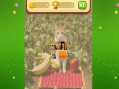 Game Farm Cat Memory Match