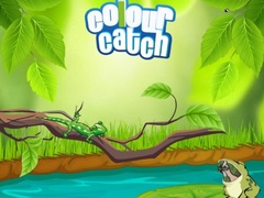 Game Colour Catch
